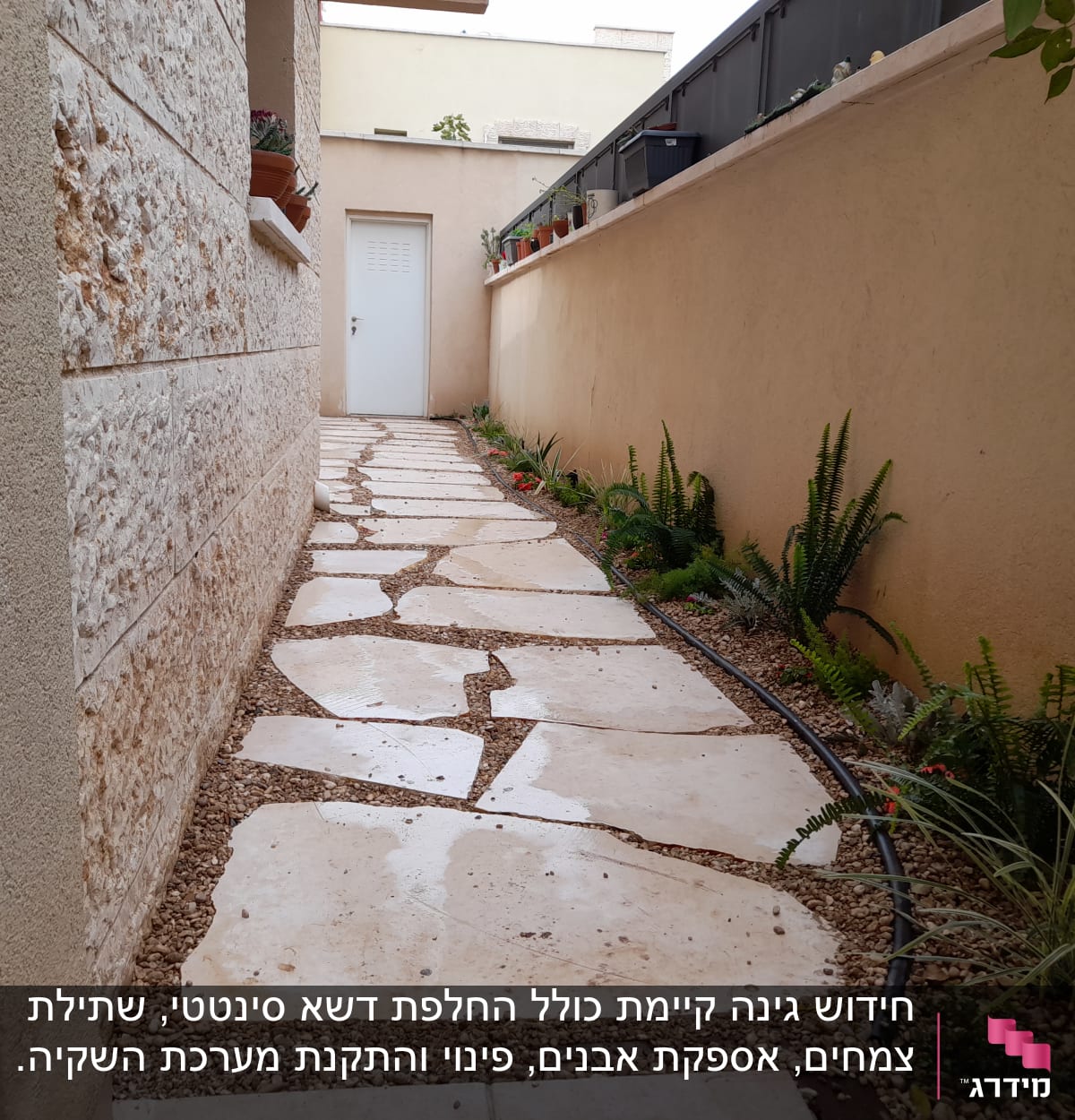 שביל אבן עם צמחים ירוקים ודשא מלאכותי